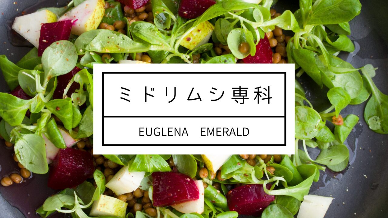 ミドリムシ専科　ミドリムシエメラルド