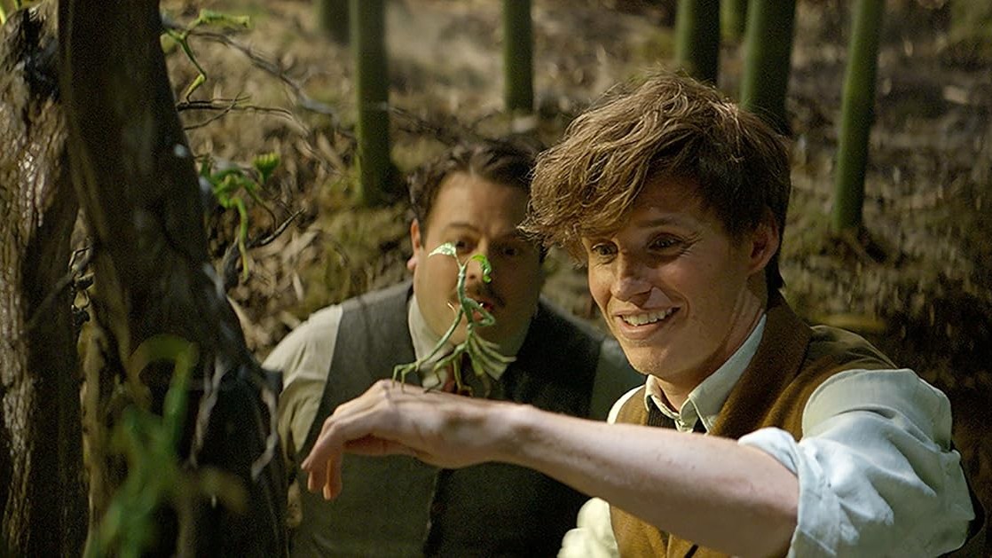 ファンタスティック・ビーストと魔法使いの旅