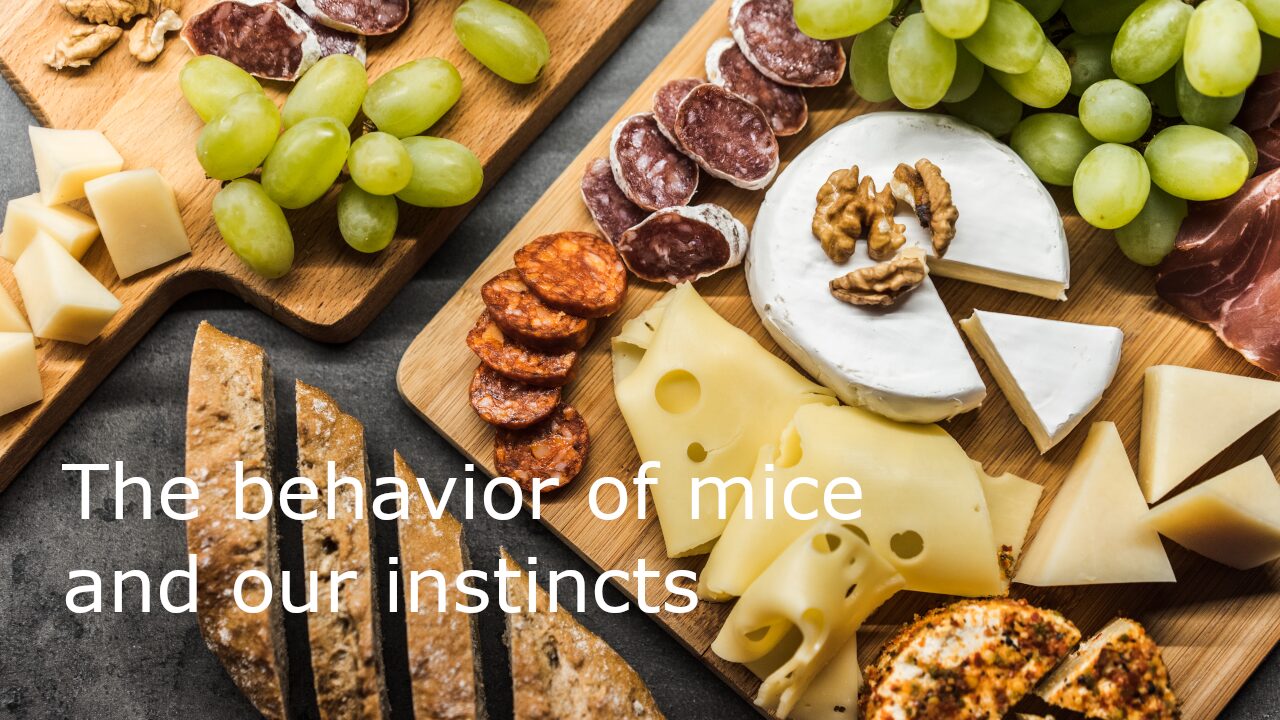 チーズはどこへ消えた？