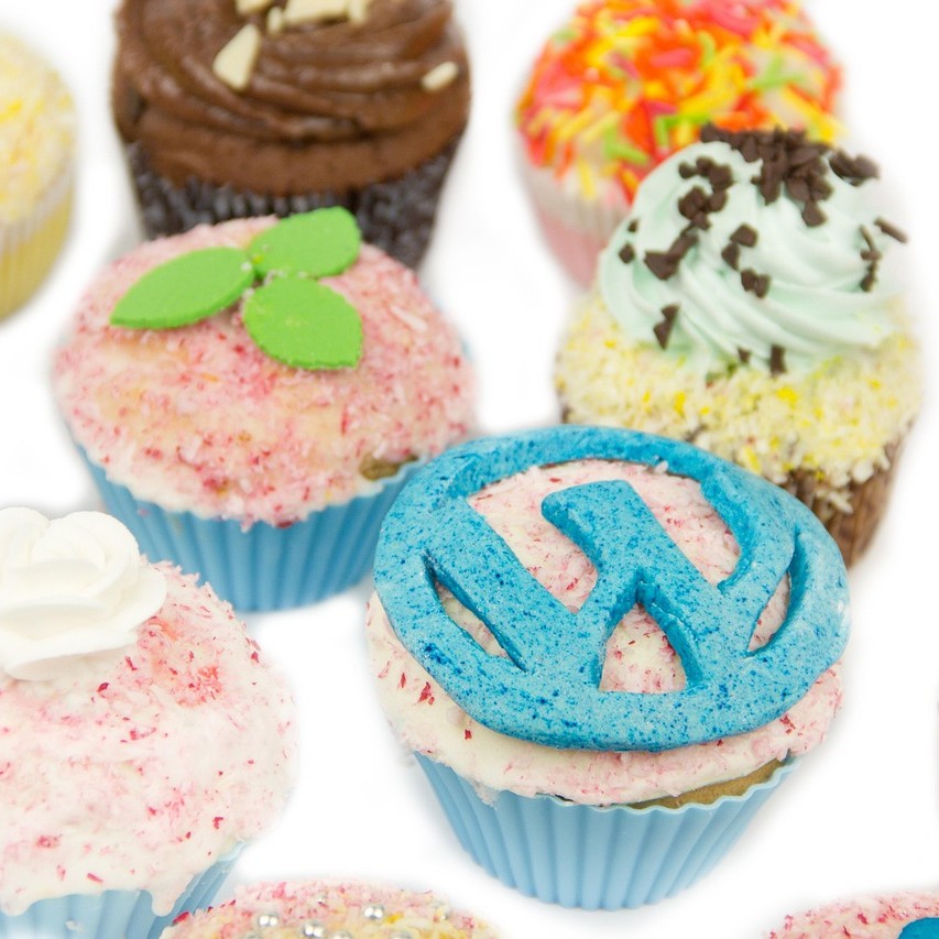 専門ブログ vs 雑多ブログ、どっちが正解？